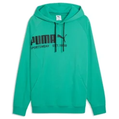 Sudaderas Puma PUMA SPORT Hoodie TR