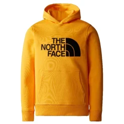 Sudaderas The north face B Drew Peak P O Hoodie