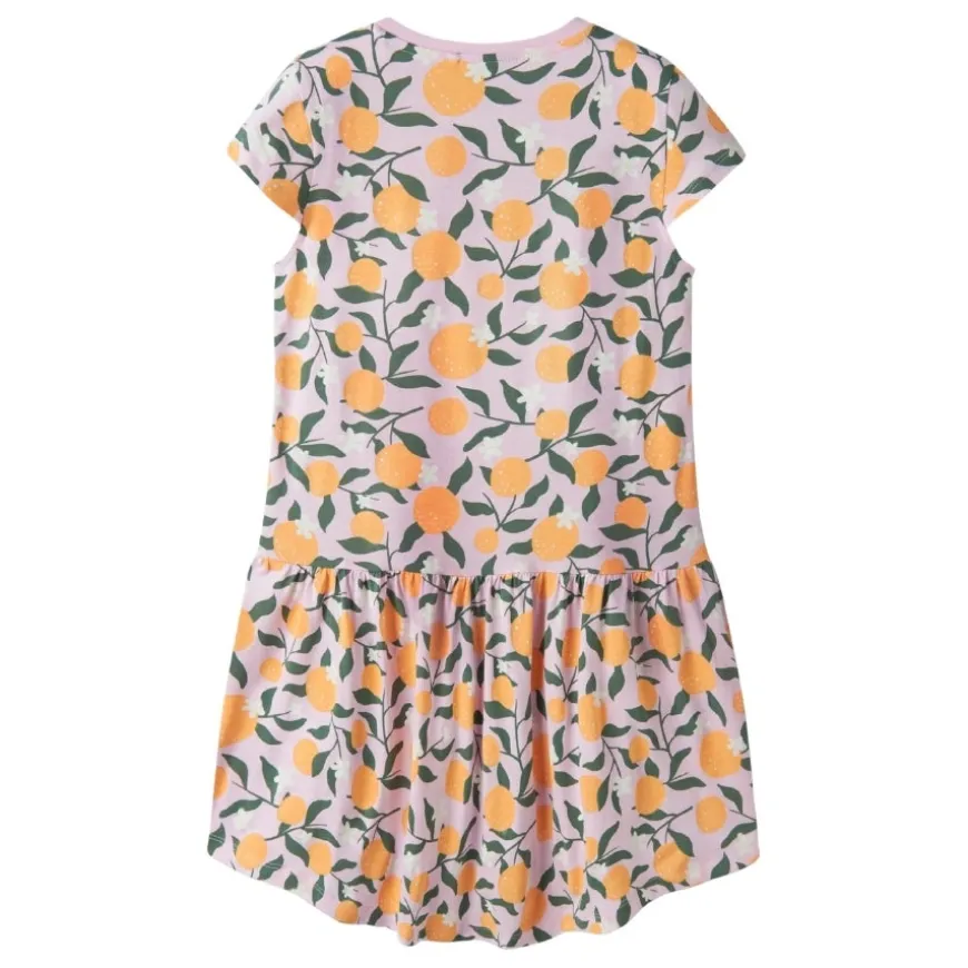 Vestidos Name-it Nkfvigga Capsl Dress