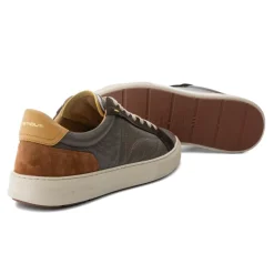 Zapatillas Ambitious Anopolis