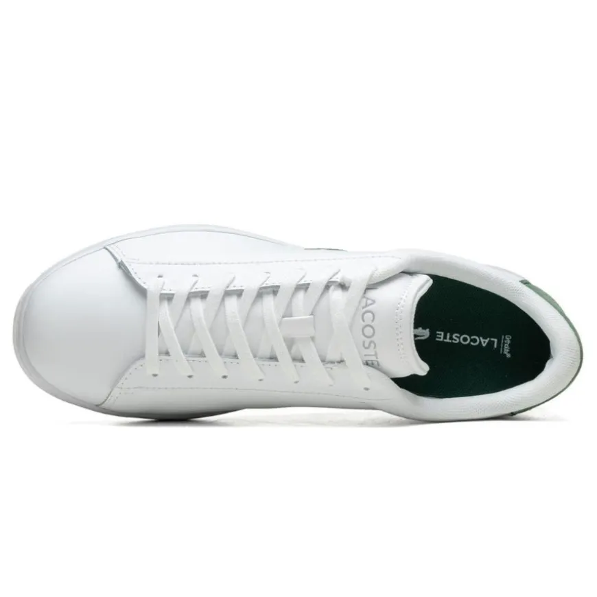 Zapatillas Lacoste Carnaby Set 224 1 Sma