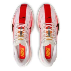 Zapatillas Nike Pegasus Plus
