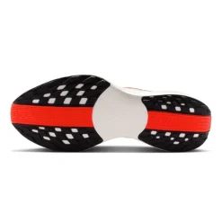 Zapatillas Nike Pegasus Plus