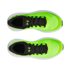 Zapatillas Under armour UA BGS Rogue 5