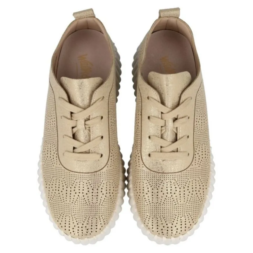 Zapatos Walk & fly AH-9837